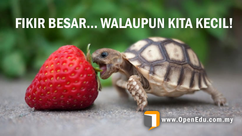 fikir_besar_fikir_kecil_think_big