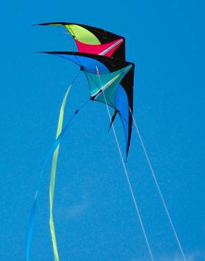 kite-2kites.jpg