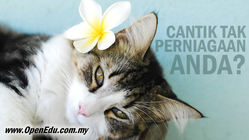 perniagaan cantik