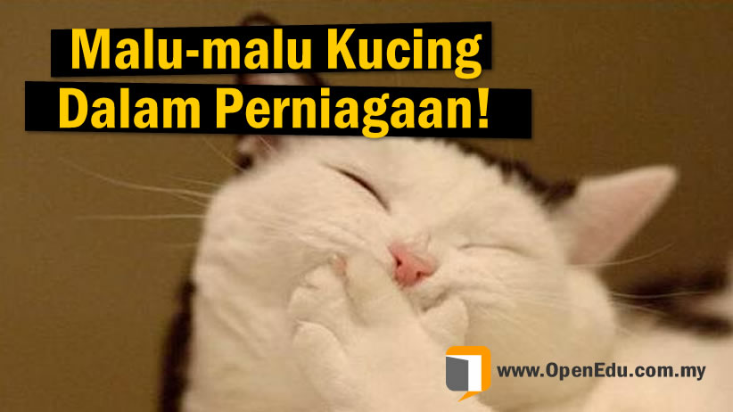 malu malu kucing