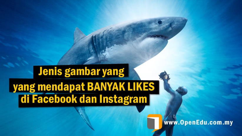  Gambar  gambar  yang  mendapat BANYAK  LIKES di Facebook dan 